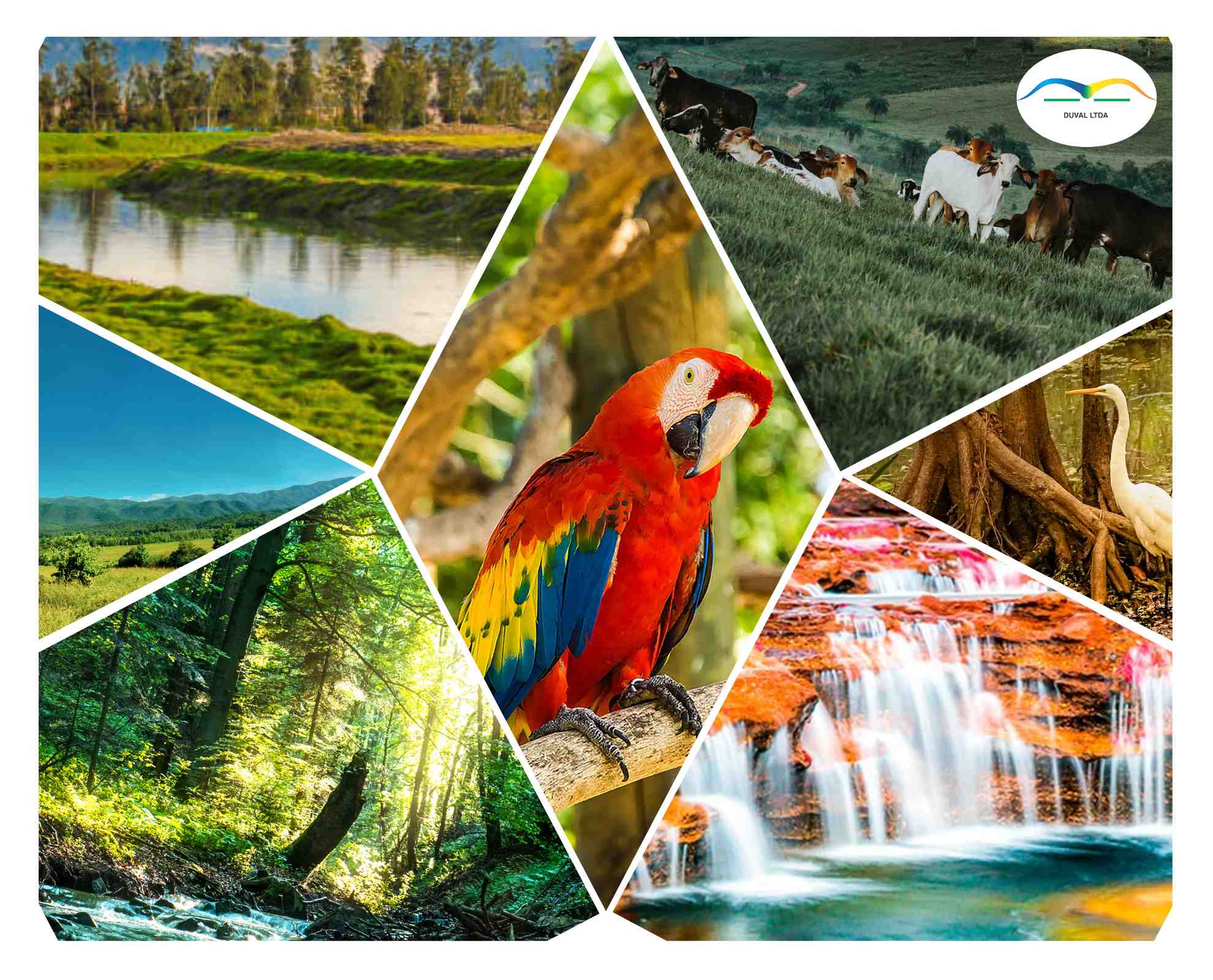 ¡Colombia es uno de los países más biodiversos del mundo!