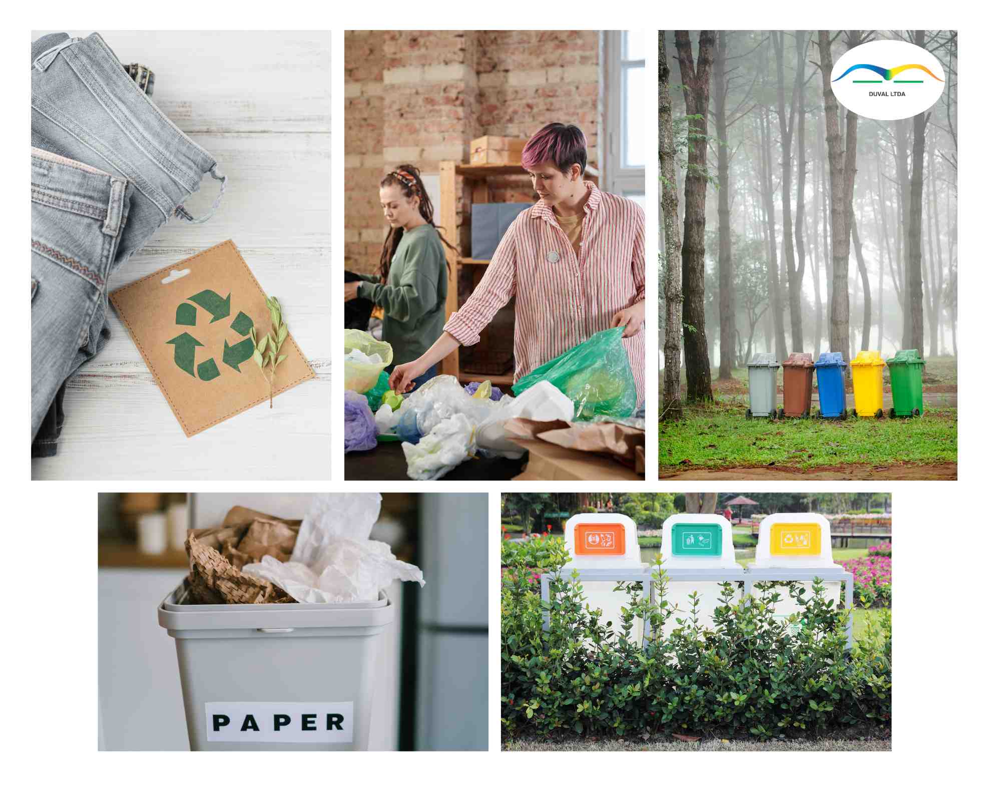 Reciclaje: mitos sobre la separación de residuos