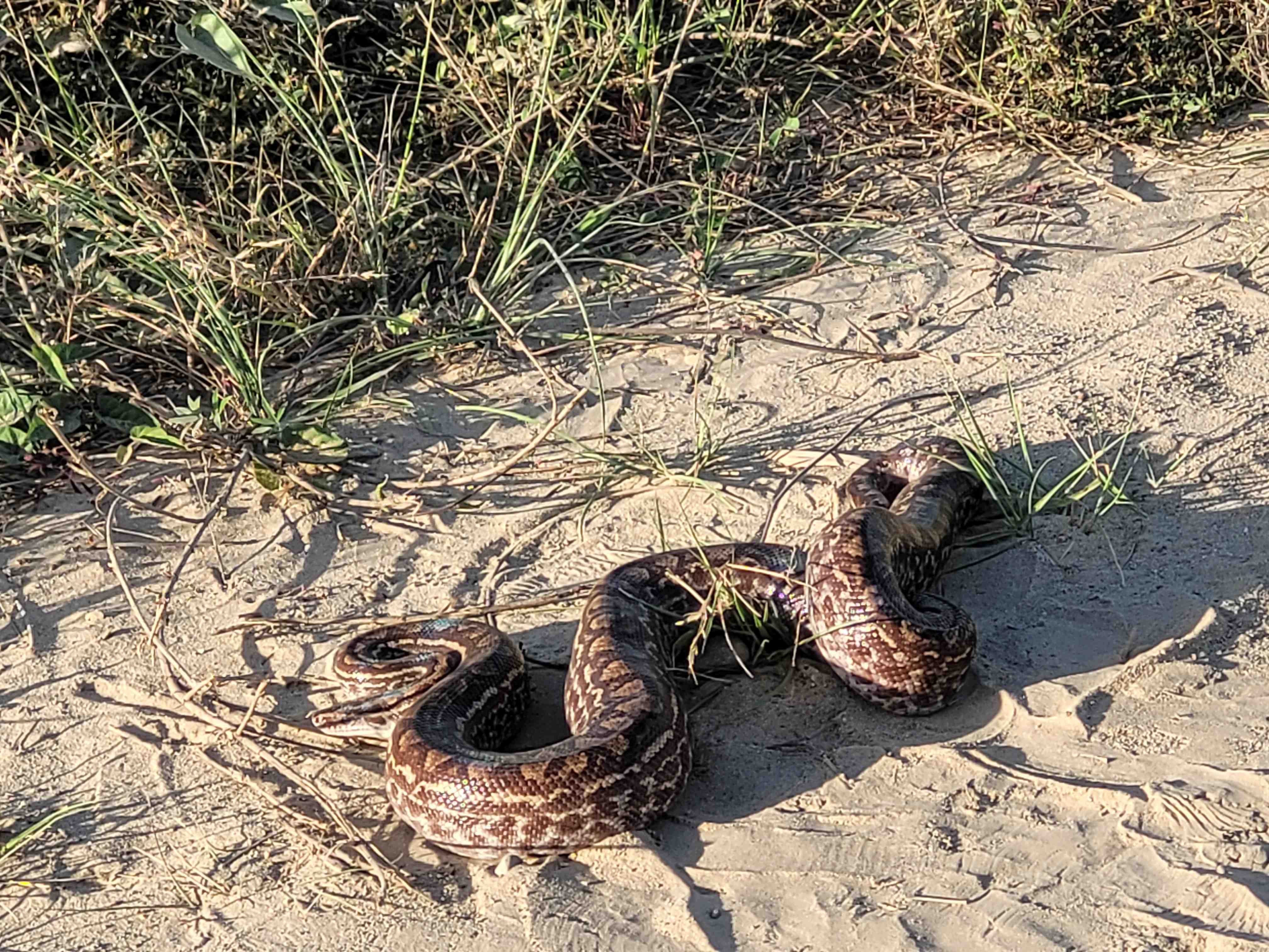 Autor: Ing.Karen Arevalo