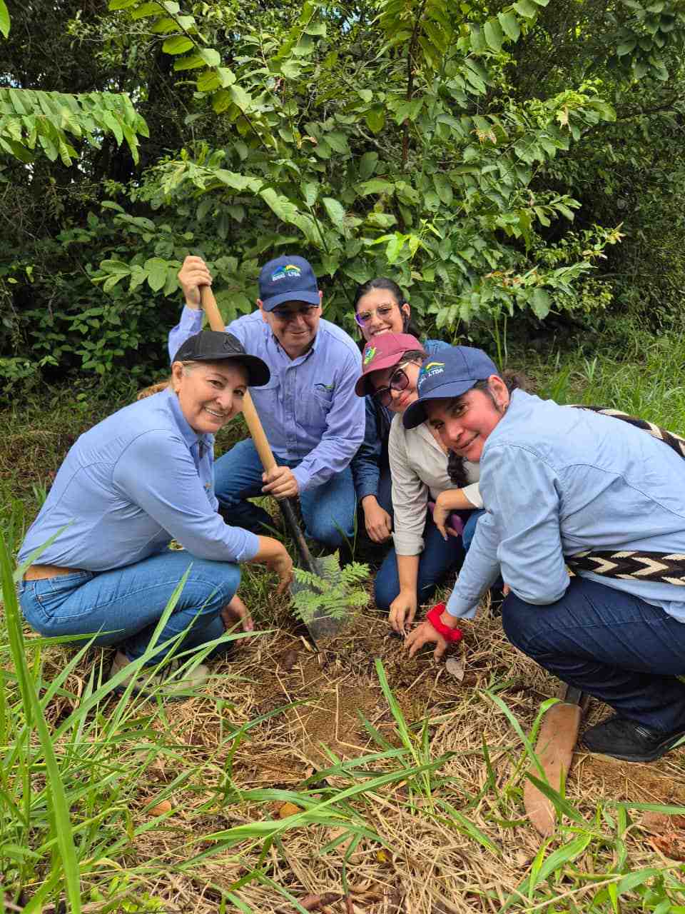 Campaña de reforestación