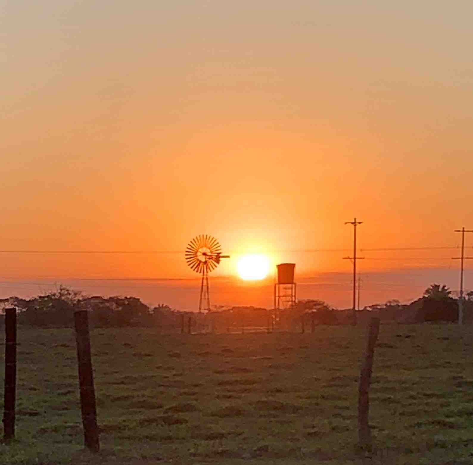 Atardecer Llanero